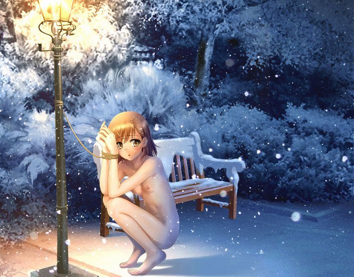 【雪見オナニー】雪景色の中で野外露出してる二次エロ画像【30】