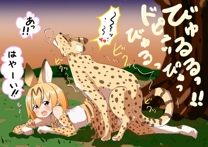 【けものフレンズ】サーバル(Serval Cat)のエロ画像【けもフレ】【20】
