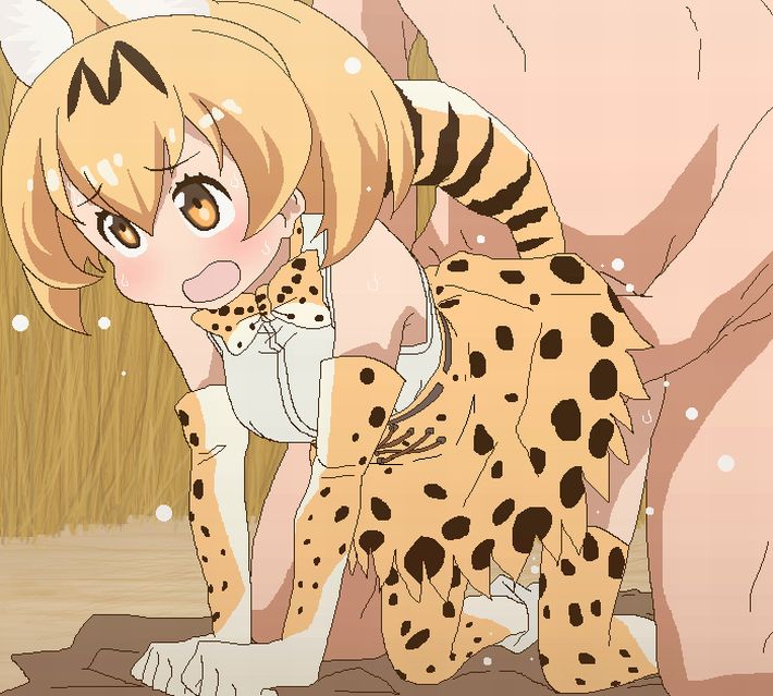 【けものフレンズ】サーバル(Serval Cat)のエロ画像【けもフレ】【45】