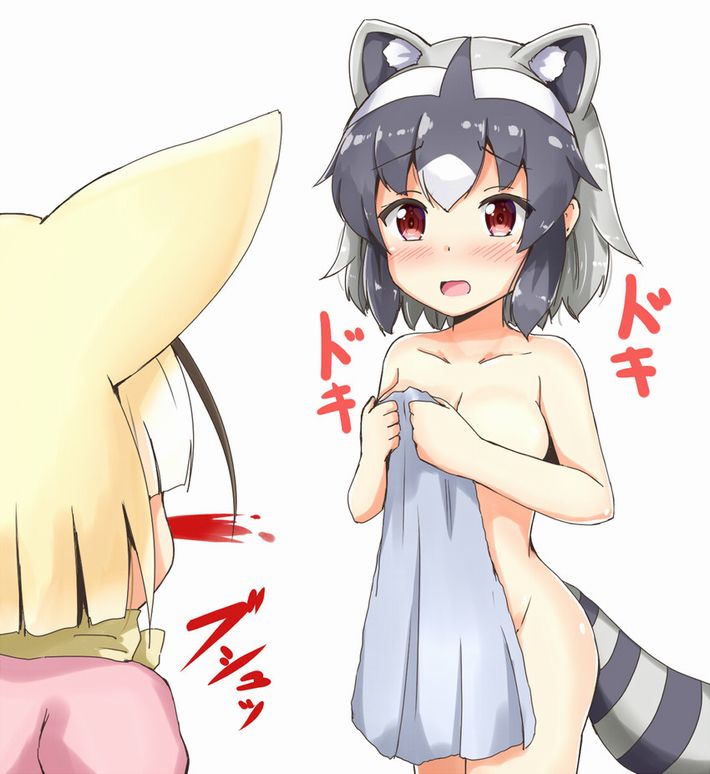【けものフレンズ】アライグマ(Common raccoon)のエロ画像【けもフレ】【2】