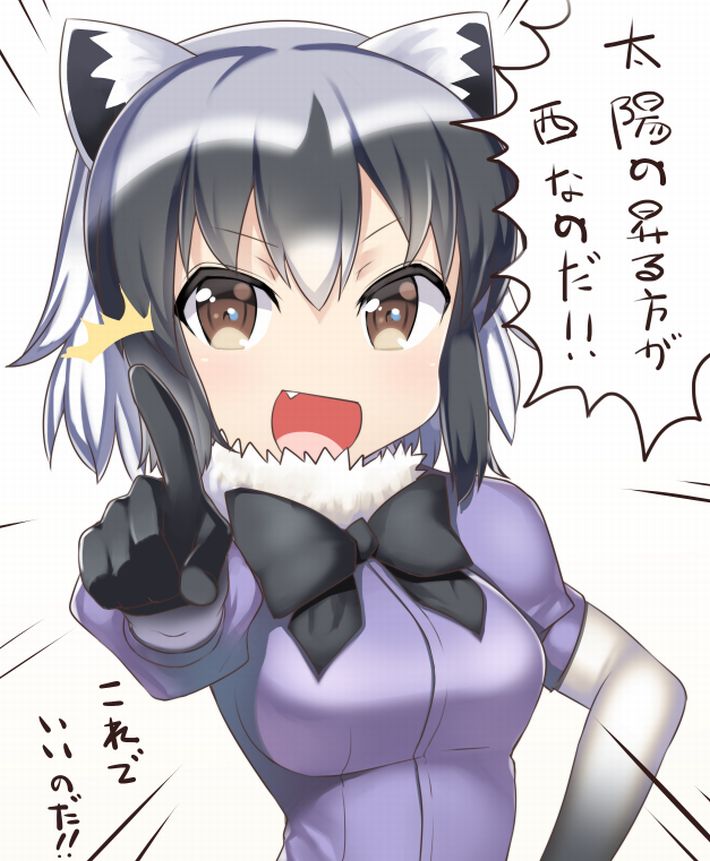 【けものフレンズ】アライグマ(Common raccoon)のエロ画像【けもフレ】【47】