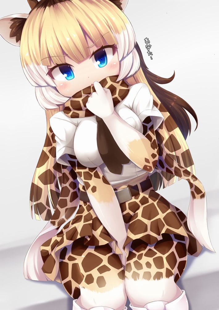 【けものフレンズ】アミメキリン(reticulated giraffe)のエロ画像【けもフレ】【11】