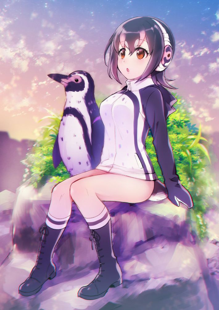 【けものフレンズ】フンボルトペンギン(humboldt penguin)のエロ画像【けもフレ】【36】