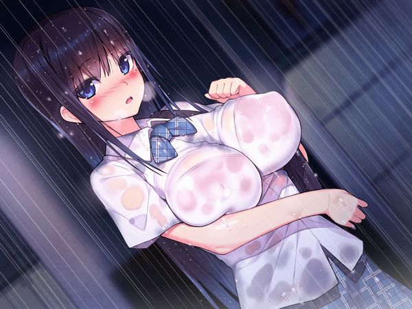 【傘が無い】雨に濡れて透けブラしてる制服女子の二次エロ画像【18】
