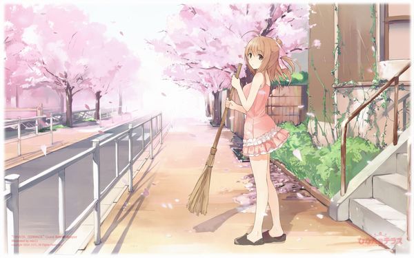 【もうすぐ春ですね】桜と美少女な二次画像【25】