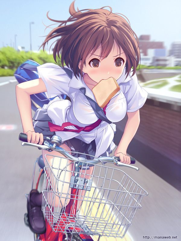 【日常風景】家が少し遠いから･･･自転車通学してる女子高生の二次画像 【1】