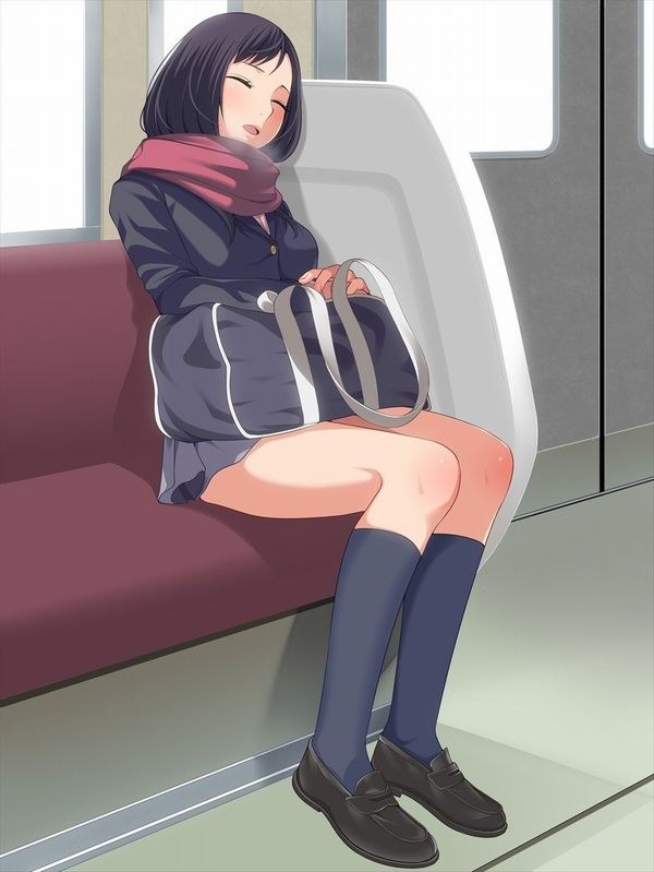 【日常のエロス】電車に乗ってる女の子達のパンチラ・胸チラ等二次エロ画像【12】