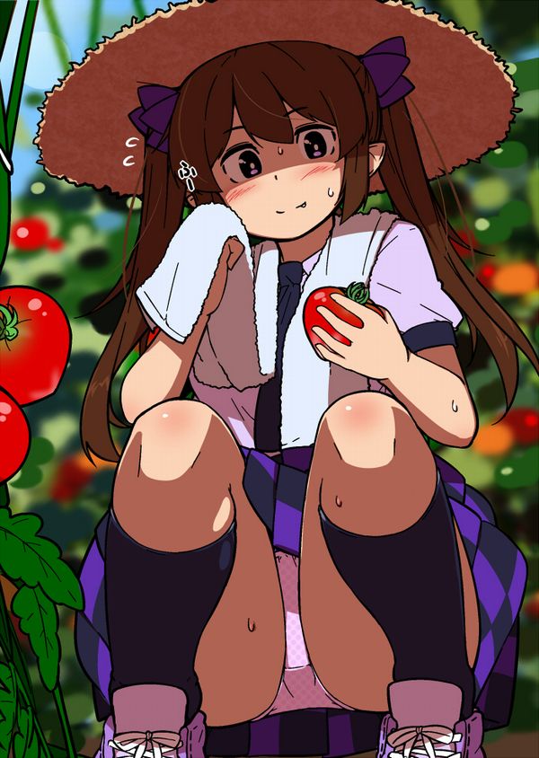 【夏野菜】トマトと女の子の二次画像【8】