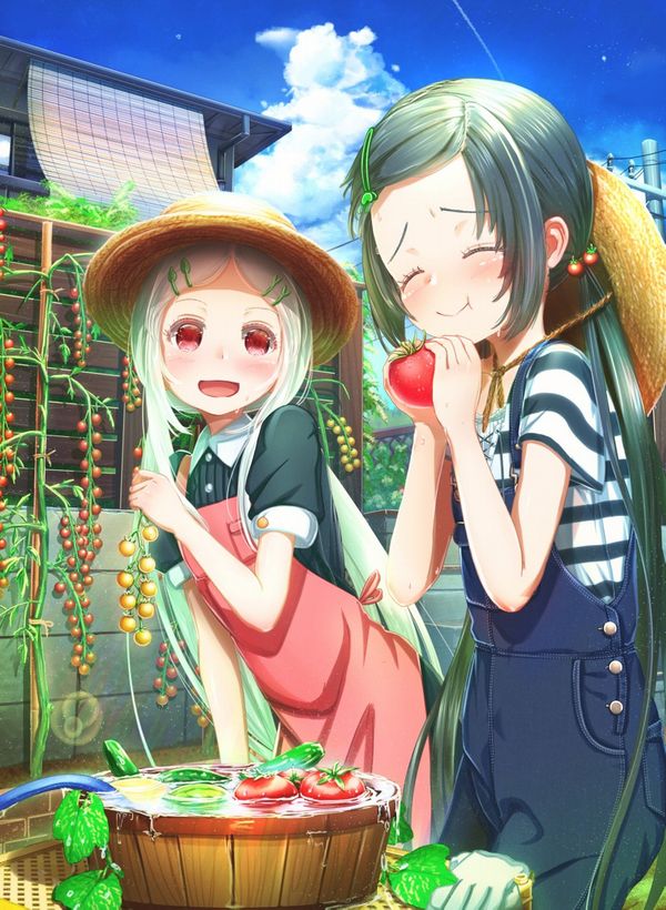 【夏野菜】トマトと女の子の二次画像【10】