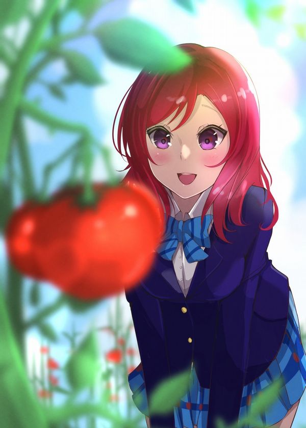 【夏野菜】トマトと女の子の二次画像【15】