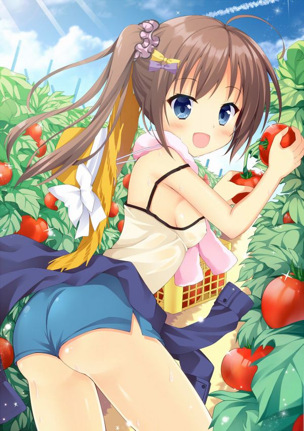 【夏野菜】トマトと女の子の二次画像【41】