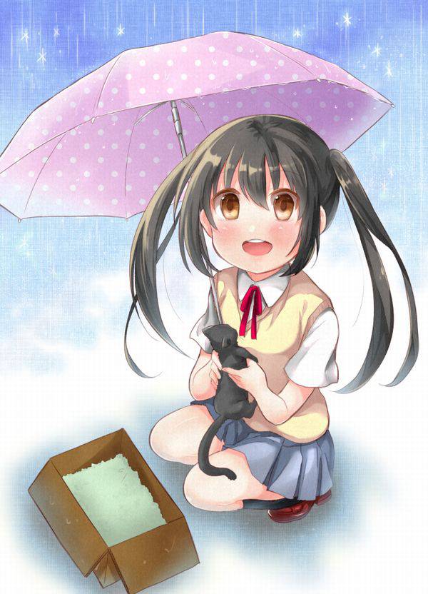 【ごめんね】雨と捨て猫と美少女の二次画像【傘借りるわね】【5】
