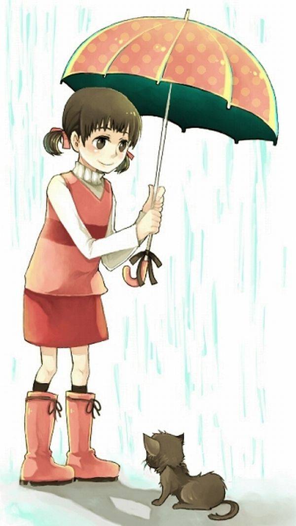 【ごめんね】雨と捨て猫と美少女の二次画像【傘借りるわね】【10】