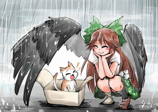 【ごめんね】雨と捨て猫と美少女の二次画像【傘借りるわね】【17】