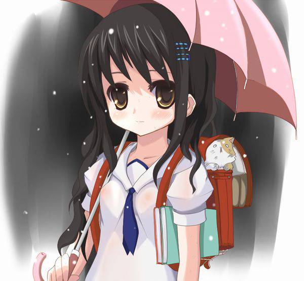 【ごめんね】雨と捨て猫と美少女の二次画像【傘借りるわね】【21】