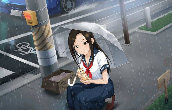 【ごめんね】雨と捨て猫と美少女の二次画像【傘借りるわね】【25】