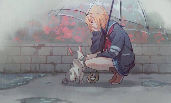 【ごめんね】雨と捨て猫と美少女の二次画像【傘借りるわね】【26】
