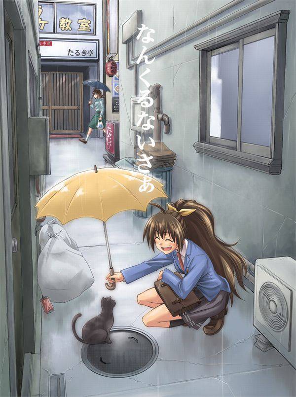 【ごめんね】雨と捨て猫と美少女の二次画像【傘借りるわね】【27】