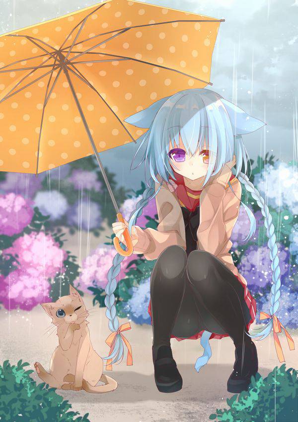 【ごめんね】雨と捨て猫と美少女の二次画像【傘借りるわね】【28】