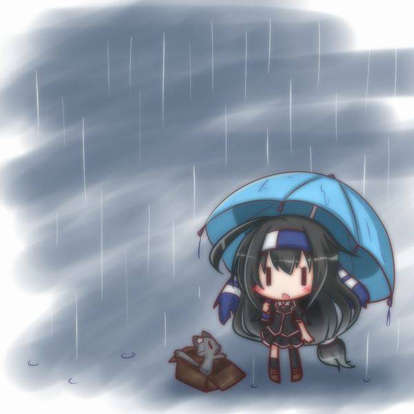 【ごめんね】雨と捨て猫と美少女の二次画像【傘借りるわね】【34】
