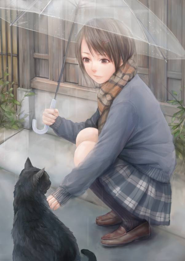 【ごめんね】雨と捨て猫と美少女の二次画像【傘借りるわね】【36】