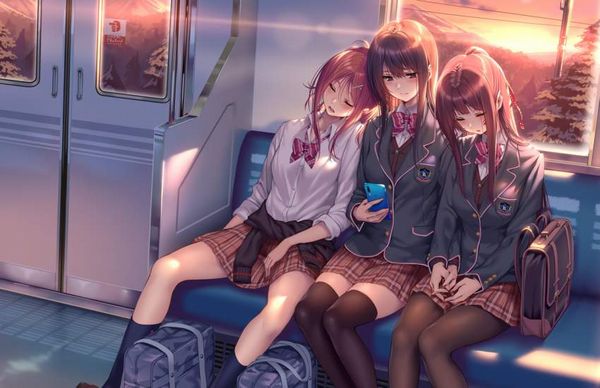 【お疲れ】電車内で寝ちゃってる女子達の二次画像【20】