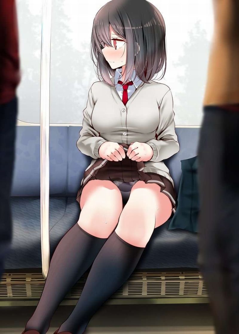 【チラ見不可避】電車で向かいの座席に女子高生が！！な、二次エロ画像【6】