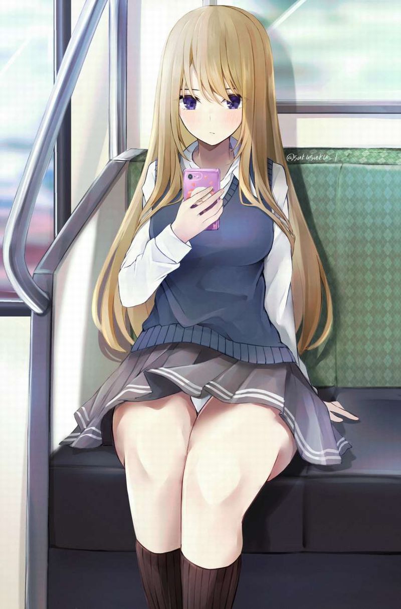 【チラ見不可避】電車で向かいの座席に女子高生が！！な、二次エロ画像【12】