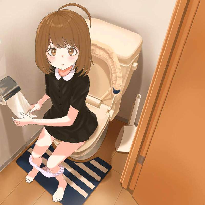 【使用中】トイレのドアを開けられて慌てる女子達の二次エロ画像【4】