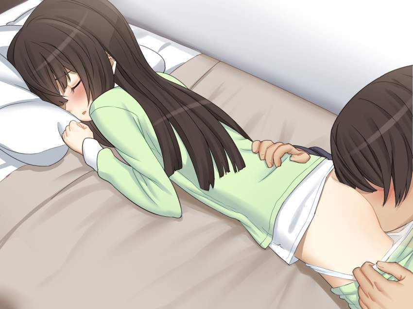 【出来心】寝てる女の子に悪戯してる二次エロ画像【36】