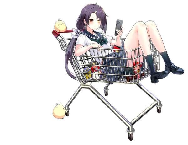 【炎上案件】ショッピングカートに乗ってる悪ノリ女子の二次画像【18】