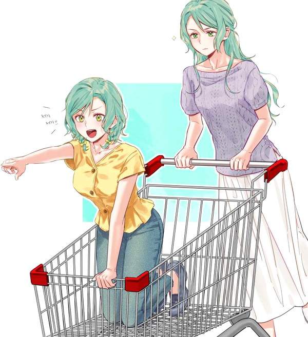 【炎上案件】ショッピングカートに乗ってる悪ノリ女子の二次画像【19】