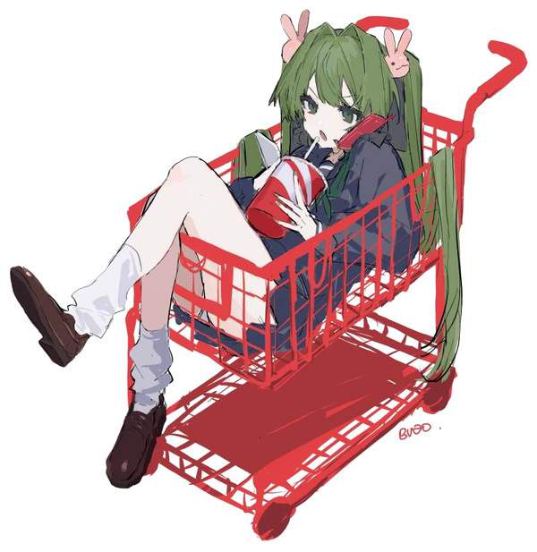 【炎上案件】ショッピングカートに乗ってる悪ノリ女子の二次画像【20】