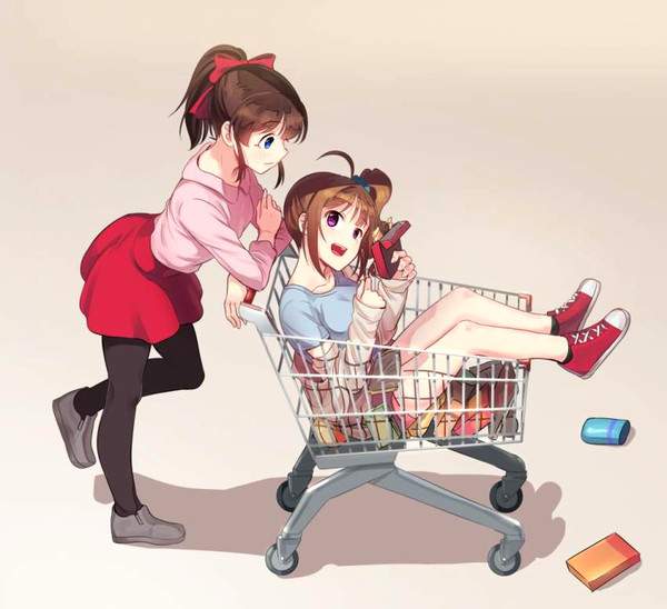 【炎上案件】ショッピングカートに乗ってる悪ノリ女子の二次画像【33】