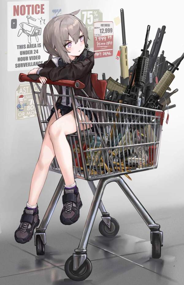 【炎上案件】ショッピングカートに乗ってる悪ノリ女子の二次画像【35】
