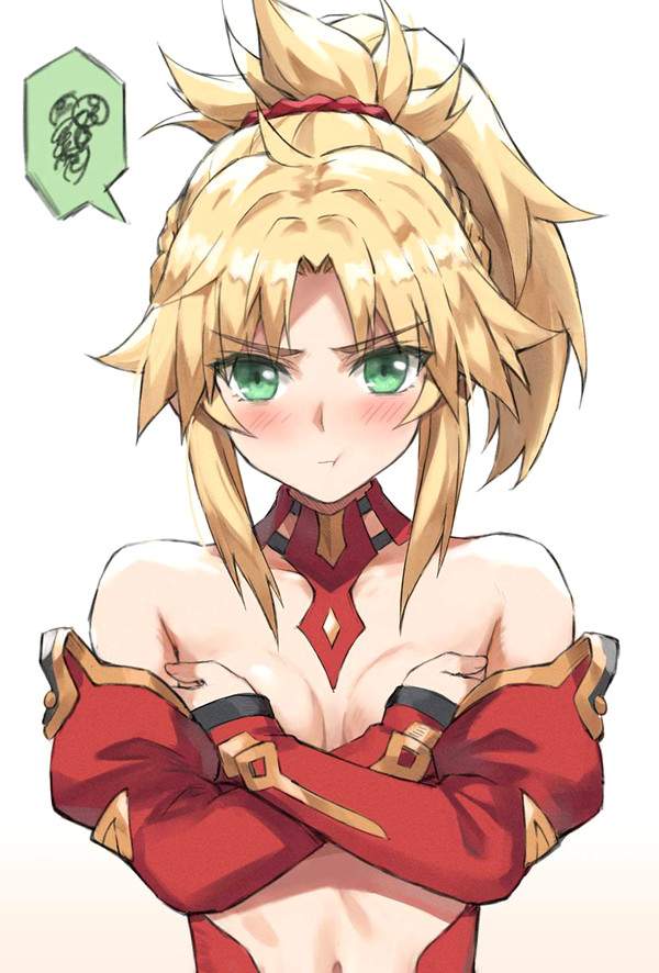 【Fate/Grand Order】モードレッド(Mordred)のエロ画像　2022年版【15】