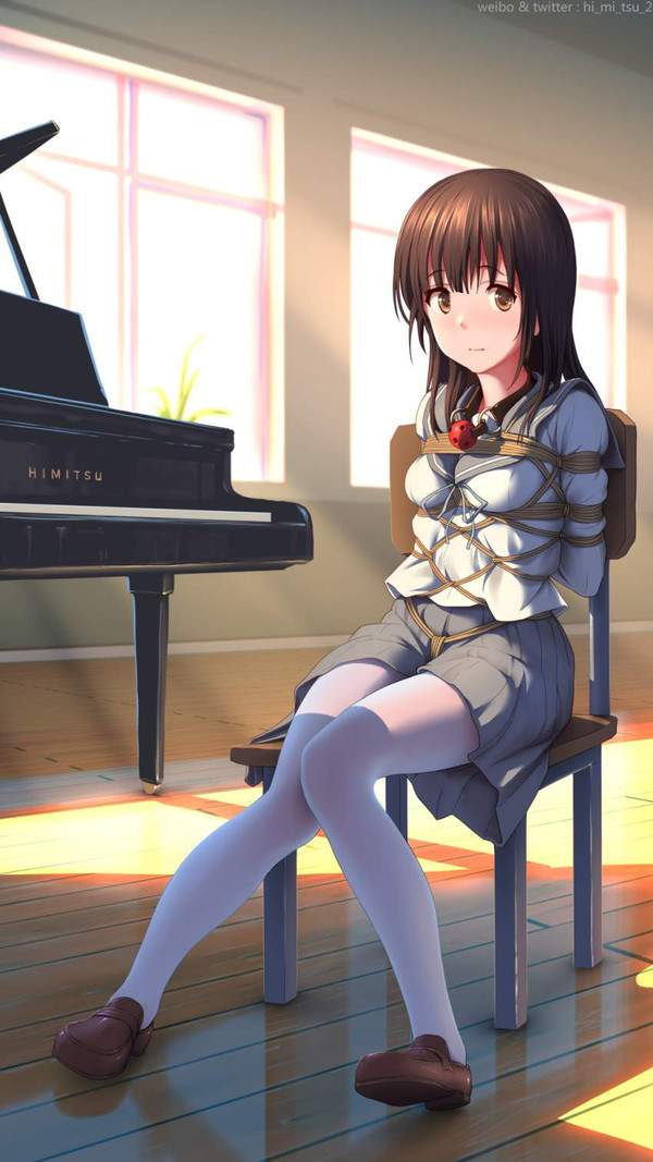 【Youtuberあるある】エロい恰好でピアノ弾いてる女子の二次エロ画像【34】