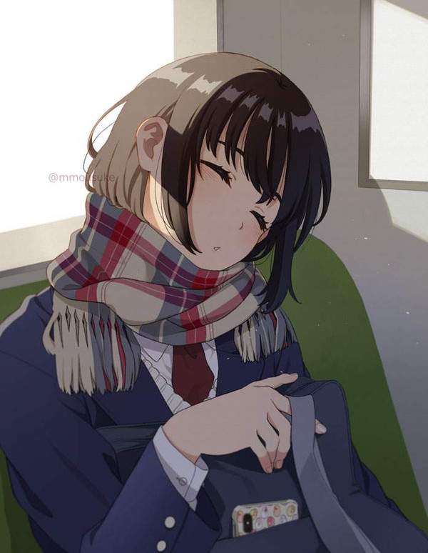 【籠原】電車の中で寝てしまっている女子の二次エロ画像【小金井】【17】