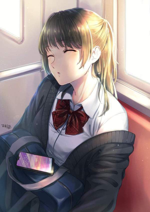 【籠原】電車の中で寝てしまっている女子の二次エロ画像【小金井】【31】