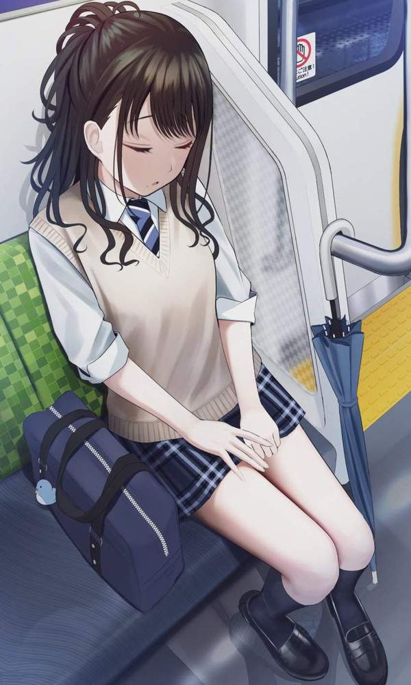 【籠原】電車の中で寝てしまっている女子の二次エロ画像【小金井】【32】