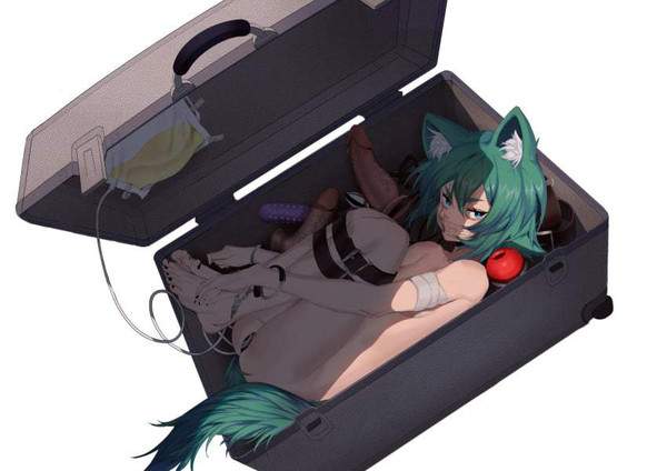 【拉致か】スーツケースに入れられた女子の二次エロ画像【プレイか】【29】