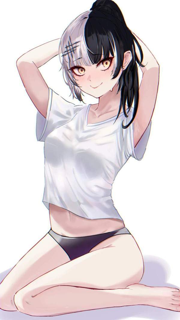 【リアル部屋着】上はＴシャツ下はパンティー姿な女子達の二次エロ画像【11枚目】