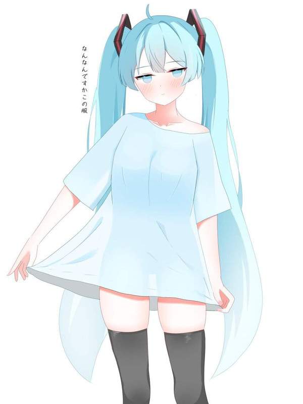 【リアル部屋着】上はＴシャツ下はパンティー姿な女子達の二次エロ画像【22枚目】