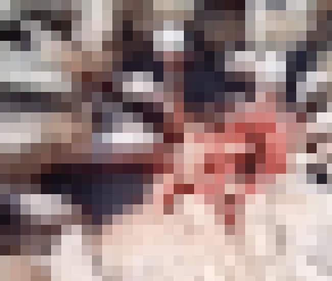 オススメネタ紹介