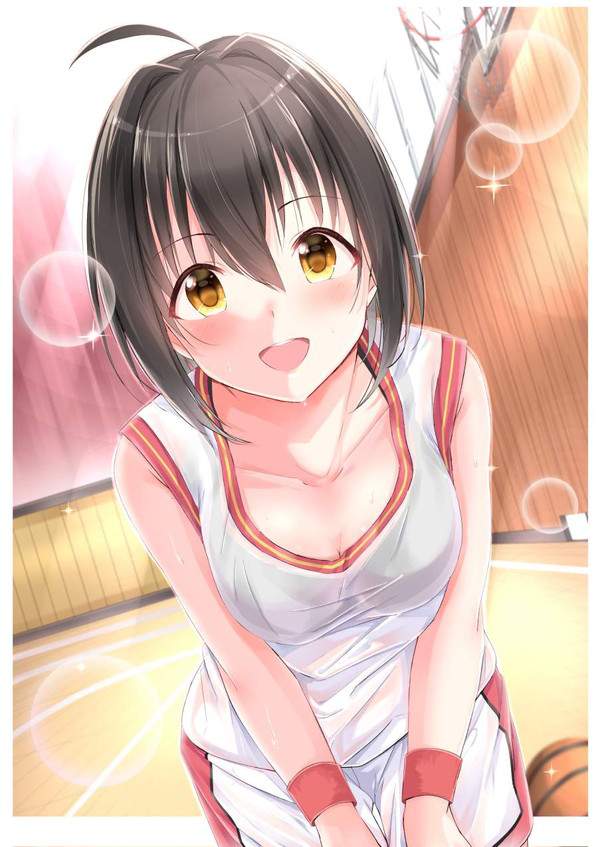 【バスケットボールの日】女子バスケ部の二次エロ画像【3枚目】