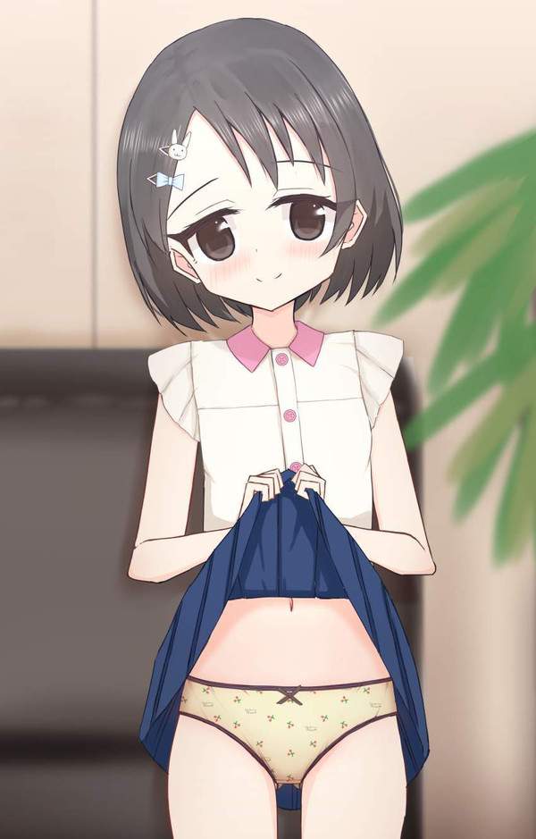 【色の日】スカートたくし上げてパンティー見せて貰う二次エロ画像【38枚目】