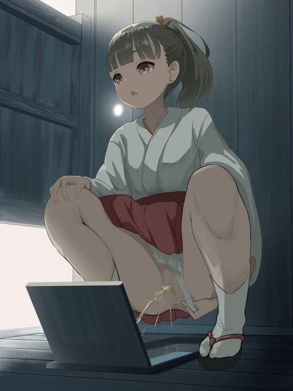 【公園】和式トイレでオシッコする女性達の二次エロ画像【駅】【27枚目】