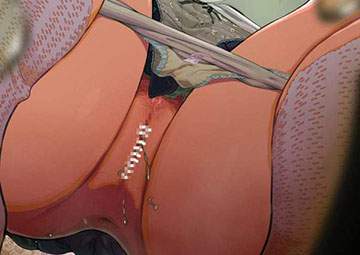 【公園】和式トイレでオシッコする女性達の二次エロ画像【駅】