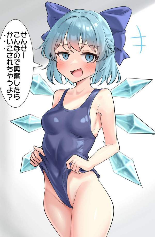 【バカヤローの日】チルノのセリフ付エロ画像【7枚目】