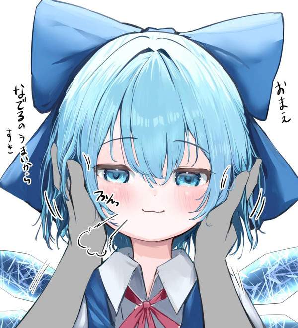 【バカヤローの日】チルノのセリフ付エロ画像【21枚目】